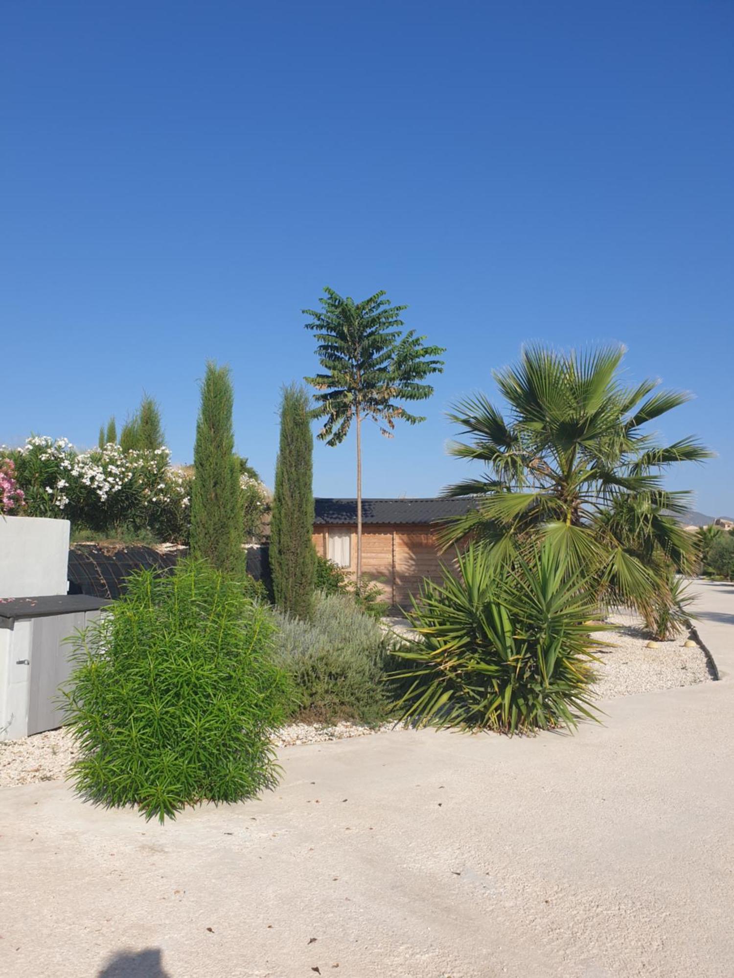 Casa De La Vida Liebetruth A Aspe Exterior foto